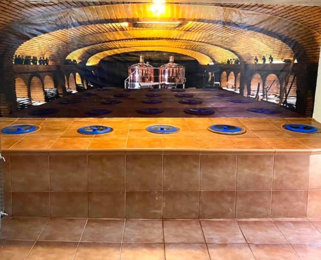 Brewery House&Beer Spa Aspindza Экстерьер фото